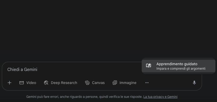 Screenshot Gemini Guided Learning